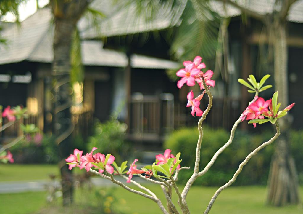 Aman Gati Balangan Hotel Pecatu  Exterior photo